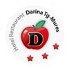logo Darina Ungheni