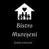 logo Bistro Mureseni
